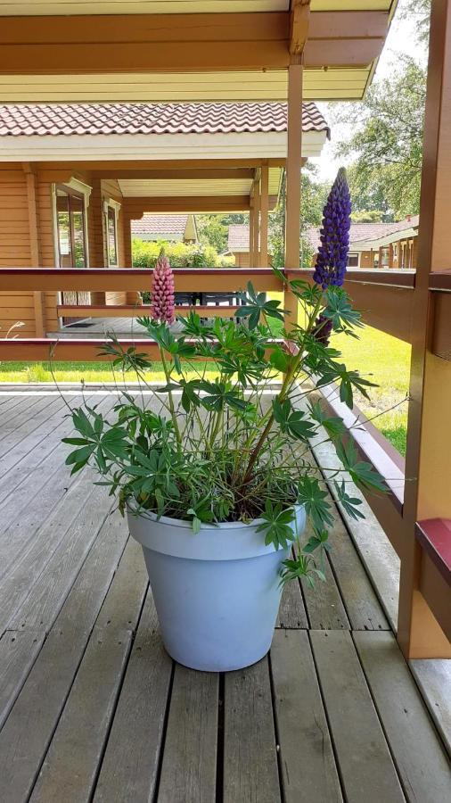 Lupine Lodge Gramsbergen Exteriér fotografie